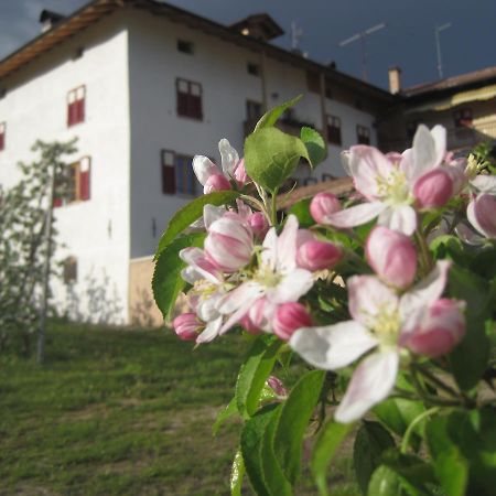 Agritur Maso San Bartolomeo Villa Romeno Buitenkant foto