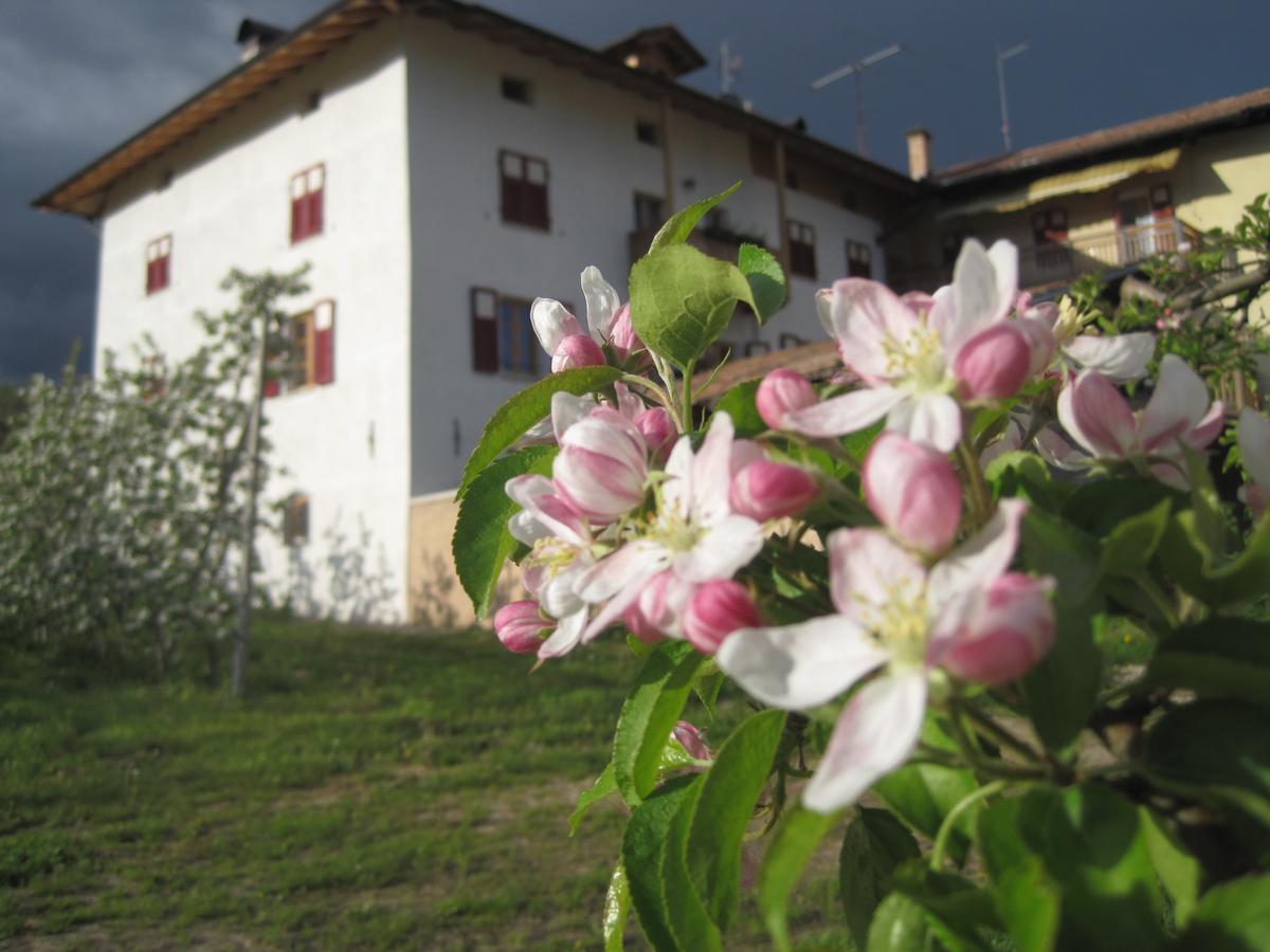 Agritur Maso San Bartolomeo Villa Romeno Buitenkant foto